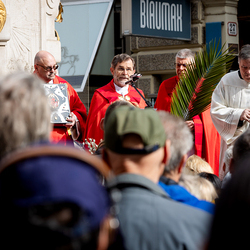 2025 Palmsonntag / Erzdiözese Wien/ Schönlaub, Stephan Schönlaub