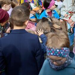 Palmsonntag Pfarre Heilige Mutter Teresa / Erzdiözese Wien/Feuchtner