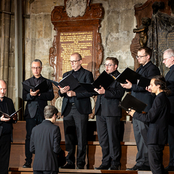 Gedenkgottesdienst / Erzdiözese Wien/ Schönlaub, Stephan Schönlaub