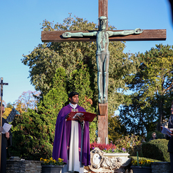 Erzdiözese Wien/Schönlaub