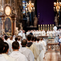 Chrisammesse 2025 / Erzdiözese Wien/ Schönlaub, Stephan Schönlaub