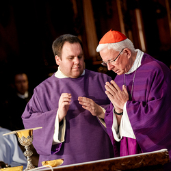 Stephansdom: Österreich nahm Abschied von Papst Franziskus / Erzdiözese Wien/ Schönlaub, Stephan Schönlaub Stephansdom: Österreich nahm Abschied von Papst Franziskus