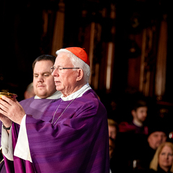 Stephansdom: Österreich nahm Abschied von Papst Franziskus / Erzdiözese Wien/ Schönlaub, Stephan Schönlaub Stephansdom: Österreich nahm Abschied von Papst Franziskus