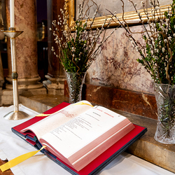 2025 Palmsonntag / Erzdiözese Wien/ Schönlaub, Stephan Schönlaub