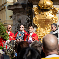 2025 Palmsonntag / Erzdiözese Wien/ Schönlaub, Stephan Schönlaub