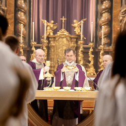 Bischofsprimizmesse Perchtholdsdorf / Erzdiözese Wien/Schönlaub