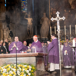 Stephansdom: Österreich nahm Abschied von Papst Franziskus / Erzdiözese Wien/ Schönlaub, Stephan Schönlaub Stephansdom: Österreich nahm Abschied von Papst Franziskus