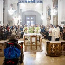 Erzdiözese Wien/Schönlaub