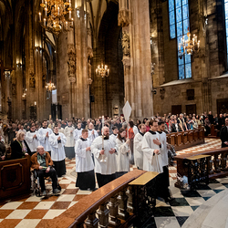 2025 Gründonnerstag / Erzdiözese Wien/Schönlaub, Stephan Schönlaub