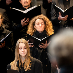 2025 Palmsonntag / Erzdiözese Wien/ Schönlaub, Stephan Schönlaub