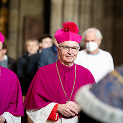 Erzdiözese Wien/ Schönlaub, Stephan Schönlaub