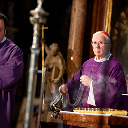 Stephansdom: Österreich nahm Abschied von Papst Franziskus / Erzdiözese Wien/ Schönlaub, Stephan Schönlaub Stephansdom: Österreich nahm Abschied von Papst Franziskus