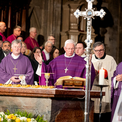 Stephansdom: Österreich nahm Abschied von Papst Franziskus / Erzdiözese Wien/ Schönlaub, Stephan Schönlaub Stephansdom: Österreich nahm Abschied von Papst Franziskus